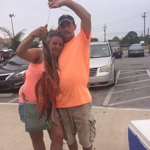 Meet your Posher, Sheila-randy